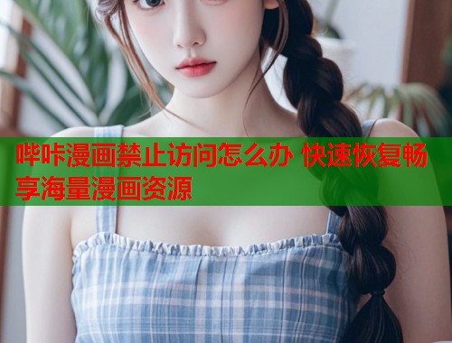 哔咔漫画禁止访问怎么办 快速恢复畅享海量漫画资源