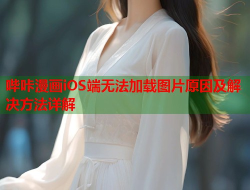 哔咔漫画iOS端无法加载图片原因及解决方法详解
