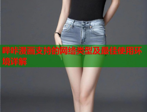 哔咔漫画支持的网络类型及最佳使用环境详解