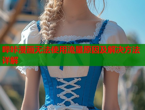 哔咔漫画无法使用流量原因及解决方法详解