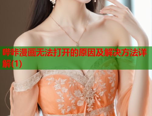 哔咔漫画无法打开的原因及解决方法详解(1)